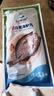 仙泉湖三去白蕉海鱸魚(yú)1斤/條凈膛冷凍刺少肉厚珠海特產(chǎn)500g生鮮食材 曬單實(shí)拍圖