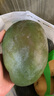 京覓四川攀枝花凱特芒 芒果凈重4.5-5斤單果400g起 新鮮水果源頭直發(fā) 曬單實(shí)拍圖