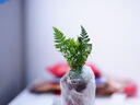 MEKE美科【旗艦款】85mmf1.4全畫幅自動(dòng)對(duì)焦鏡頭靜馬達(dá)適用FE卡口,Z卡口定焦鏡頭 不支持NEX系列 【官方物流隔日達(dá)】索尼FE卡口 曬單實(shí)拍圖