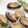金唐鮮凍大鮑魚凈重500g/ 10頭鮑 帶殼鮑魚肉 貝類海鮮生鮮火鍋燒食材 曬單實(shí)拍圖