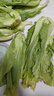 農(nóng)家自種特價(jià)新鮮芥菜包心酸菜玉菜蓋菜當(dāng)季青菜農(nóng)家自種整箱蔬菜 帶箱9-10斤（精選） 曬單實(shí)拍圖