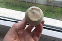 神郵 高郵咸鴨蛋 熟10枚*65g中秋禮盒 即食流油麻鴨咸鴨蛋  企業(yè)團購 曬單實拍圖