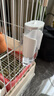 YEE鳥用飲水器喝水鸚鵡喂水器撞針自動大號水壺玄鳳喂鳥器【白色】 曬單實拍圖