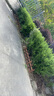 恰好時(shí)光戶外花園防腐碳化柵欄 庭院木柵欄 花園草坪護(hù)欄 籬笆100*35*20 曬單實(shí)拍圖