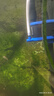 格池（GRECH）格池潛水泵抽水泵CQJ-500G款 2.5W 凈水增氧過濾泵三合一過濾水泵 曬單實(shí)拍圖