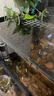 雷龍防跳網(wǎng)防跳蓋板魚(yú)缸蓋子蓋網(wǎng)上蓋頂魚(yú)缸防跳缸板可裁剪防越 80*40厘米 備注魚(yú)缸玻璃厚度 曬單實(shí)拍圖