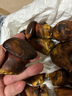 妙普樂見手青蘑菇新鮮【順豐空運(yùn)次日達(dá)】云南野生牛肝菌網(wǎng)紅紫蔥肝菌菇 【嘗鮮】黃見手青 500g（精選1斤裝） 曬單實(shí)拍圖