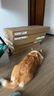 宜家（IKEA）NORDLI諾德里抽屜柜儲(chǔ)物柜現(xiàn)代簡約北歐風(fēng)臥室用家用 白色3屜柜80x76cm 曬單實(shí)拍圖