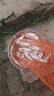 小鳳仙釣箱坐墊釣魚(yú)裝備高彈記憶棉加厚防滑魚(yú)箱墊子清涼透氣釣箱配件小號坐墊【白色】 曬單實(shí)拍圖