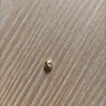真愛?福如金禮物網(wǎng)紅黃金小金豆AU9999足金投資黃金豆豆實(shí)心真金豆子存錢 1g金豆（1 克）無證書送瓶子 曬單實(shí)拍圖