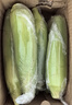 佳農(nóng)寶菜山東新鮮水果玉米單根275g+鮮甜多汁4-7根凈重4.6斤源頭直發(fā) 曬單實拍圖