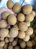 粵迎廣東石峽儲良龍眼【順豐冷鏈多地次日達(dá)】新鮮老樹脆甜多汁桂圓 A+級精選果【脆甜多汁】 5斤儲良龍眼【超劃算】凈4.5斤 曬單實拍圖