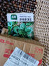 北蔬 菠菜種子苗老品種耐寒小葉大葉紅根秋季菜籽 趴地香菠菜種子20g 曬單實拍圖