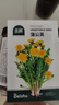北蔬 蒲公英種子食用野菜野生婆婆丁四季蔬菜種籽 蒲公英種子約3000粒 曬單實(shí)拍圖