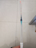 小鳳仙夜光漂咬鉤變色高靈敏度超亮醒目日夜兩用鯽魚(yú)電子漂野釣輕口漁具 L-DL01-1 輕口鯽魚(yú) 吃鉛約1.3g 日夜兩用(咬鉤變色) 曬單實(shí)拍圖