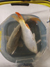 西部風(fēng)老壇湖庫鯉草青魚夏季野釣大物魚餌料 甜薯果酸純玉米800克*1包 曬單實拍圖