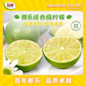 都樂Dole 【活動(dòng)專享】塔西提無(wú)籽檸檬 8-12粒 凈重500g 曬單實(shí)拍圖