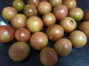 京鮮生 山東鐵皮草莓西紅柿 凈重4.5斤 單果60-150g水果番茄源頭直發(fā) 曬單實拍圖