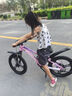 鳳凰（Phoenix）兒童山地自行車5-16歲女男孩減震變速20寸粉色 適合身高130-150cm 曬單實拍圖