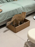 pidan貓抓板 瓦楞紙貓窩 耐磨貓玩具貓抓板窩 紙盒款(約32.5*48.7*13.7cm) 曬單實(shí)拍圖