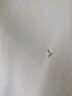 柒牌【抗菌】男士短袖T恤運動休閑透氣半袖圓領(lǐng)體恤上衣 曬單實拍圖