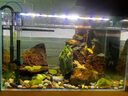 森森（SUNSUN）耀藍魚缸壁掛式過濾器YBF-500外置過濾桶【魚便分離+過濾升級】6W 曬單實拍圖