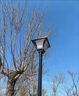 太陽能庭院燈 戶外防水3米led路燈 花園別墅景觀燈小區(qū)公園照明燈 款式一/3米庭院燈-太陽能款 曬單實(shí)拍圖