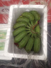 靜益樂源廣西小米蕉 粉蕉 新鮮香蕉水果 凈重9斤裝 曬單實拍圖