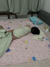 歡喜小熊嬰兒包屁衣夏季女寶寶吊帶薄款衣服新生兒公主碎花三角哈衣爬服 曬單實拍圖