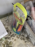 馬培德Maped 花邊剪刀便攜套裝5把隨機 小學(xué)生兒童幼兒園diy安全手工創(chuàng)意剪紙塑料剪子禮物601005CH 曬單實拍圖