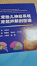 正常胎兒神經(jīng)系統(tǒng)發(fā)育超聲解剖圖譜/李勝利，鐘曉紅，李喜紅，王月美 科學(xué)出版社 曬單實(shí)拍圖