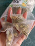 同仁堂金銀花菊花茶去火清熱解毒官方正品茉莉金絲皇菊金銀包獨立裝三養 【熬夜 火氣 口氣】四季常備 茉莉三【1包】試喝 曬單實(shí)拍圖