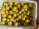 粵品欽蜜9號(hào)百香果新鮮水果當(dāng)季整箱雞蛋果特級(jí)大果一級(jí) 1斤中果【約8-10個(gè)左右】 曬單實(shí)拍圖