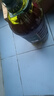 京覓純正橄欖油5L裝油食用油京東自營西班牙進(jìn)口炒菜橄欖油超值囤貨裝 曬單實(shí)拍圖