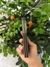 奢甲【360°全包保護(hù)套-磁吸充電】華為mateX6手機(jī)殼典藏版高端納帕紋智能翻蓋皮套matex5時(shí)尚商務(wù)后殼 智能翻蓋皮套【玄黑色】磁吸充電-360°全包保護(hù) 華為mateX6/典藏版 曬單實(shí)拍圖