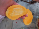 南步正宗廣西百色臺農(nóng)芒 田東小臺芒現(xiàn)摘甜心小個芒果新鮮水果整箱 9斤 精選|大果【單果90-120g】 曬單實(shí)拍圖