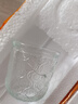 玻璃冷水壺套裝家用涼水壺杯夏季冷飲冰鎮(zhèn)果汁壺加厚冷泡茶壺 一壺一杯【570ml+200ml】 曬單實(shí)拍圖