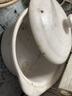 康舒（KANGSHU） 砂鍋燉鍋家用燃?xì)忪覝伳透邷馗蔁涣褵鯗簹庠顚Ｓ蒙冲仧蹯?中式瓷煲(3-5人)運(yùn)損補(bǔ)發(fā) 3.1L 曬單實(shí)拍圖