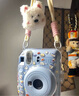 富士（FUJIFILM）instax mini12花與她 限定禮盒 拍立得照相機(jī)即拍即得mini11升級(jí)款 傻瓜相機(jī)七夕節(jié)日送禮禮物 海島繡球禮盒 A套餐【標(biāo)配(含10張)+10張相紙+基礎(chǔ)配件包】 曬單實(shí)拍圖