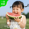 京覓手剝小西瓜 7斤/2個(gè)裝 薄皮手剝糖丸小吊瓜 時(shí)令生鮮 源頭直發(fā) 曬單實(shí)拍圖