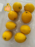 京鮮生 安岳黃檸檬 8粒 單果95-120g 生鮮水果 曬單實(shí)拍圖