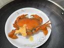 歡之婧 【活鮮】廣東正宗黃油蟹禮盒 膏油蟹螃蟹頭手黃油蟹大青蟹 【4-5兩】1只膏油黃油蟹 曬單實拍圖