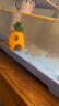闊庭（KUOTING）魚(yú)缸水族箱生態(tài)桌面魚(yú)缸新款懶人魚(yú)缸生態(tài)造景過(guò)濾制氧一體機(jī)藍(lán)色 曬單實(shí)拍圖