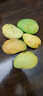 小臺(tái)農(nóng)芒果 熱帶當(dāng)季新鮮水果整箱 小臺(tái)農(nóng)芒果3斤單果80g+ 曬單實(shí)拍圖