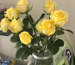 【玫瑰花】京東冷鏈特價(jià)云南鮮花云南基地直發(fā)水養花七夕節禮物 弗洛伊德玫瑰18+2枝防損耗 曬單實(shí)拍圖