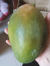 京鮮生 攀枝花凱特芒果 凈重4.5斤 帶箱5斤 單果400g+ 生鮮水果源頭直發(fā) 曬單實拍圖