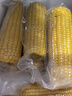 京鮮生 東北黃糯玉米250g*10棒 新鮮甜糯玉米棒真空包裝粘玉米 源頭直發(fā) 曬單實拍圖