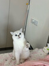 孕貝（yunbaby）恒溫水壺 保溫杯嬰兒便攜式外出恒溫水杯熱水壺兒童寶寶調(diào)奶500ml 曬單實(shí)拍圖