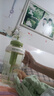 【京東物流】水杯冰霸吸管杯高顏值學(xué)生茶水分離大容量杯子 【專享價(jià)】肚肚杯-淺綠色 曬單實(shí)拍圖