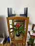 絲竹閣花架子陽(yáng)臺客廳室內家用多層落地式單個(gè)楠竹質(zhì)簡(jiǎn)約窗臺吊蘭置物架 四層 曬單實(shí)拍圖